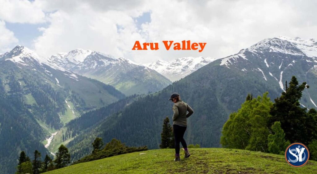 Aru Valley During Amarnath Yatra