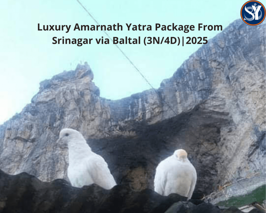 Luxury Amarnath Yatra Package