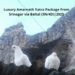 Luxury Amarnath Yatra Package